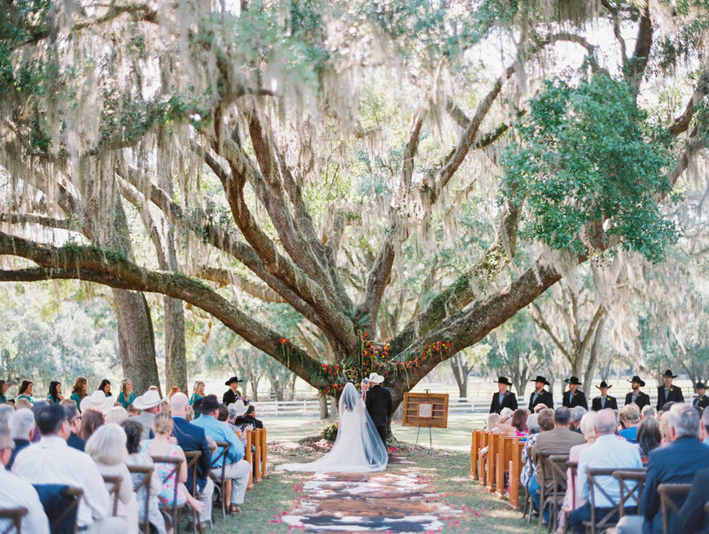 Outdoor wedding under giant tree